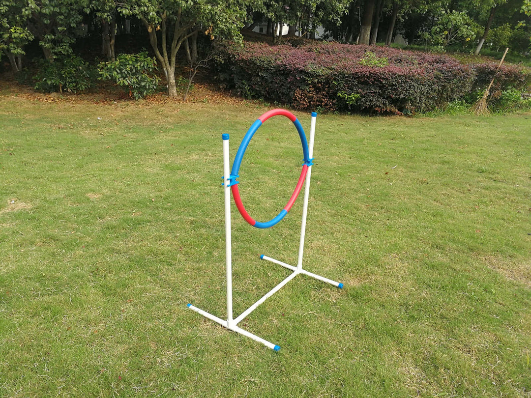 Affordable adjustable dog agility training tyre jump set in a grassy outdoor park.