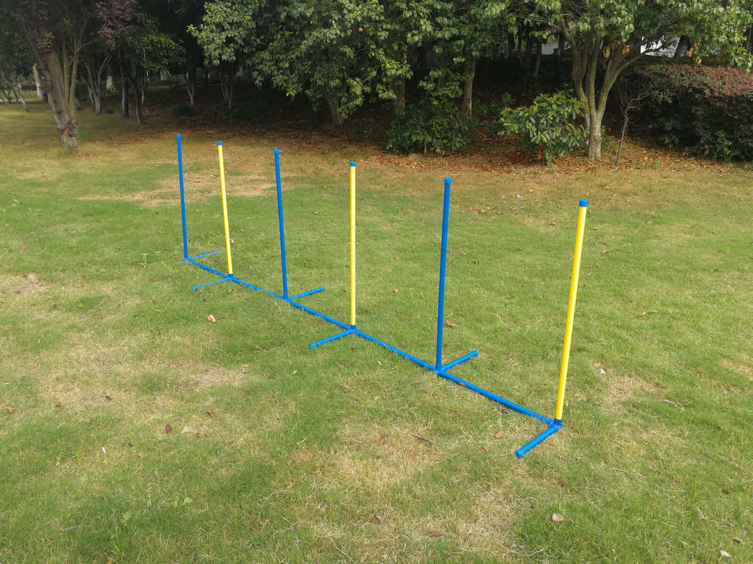 YES4PETS portable dog training weave poles set in a grassy park, ideal for DIY agility training, affordable quality equipment.