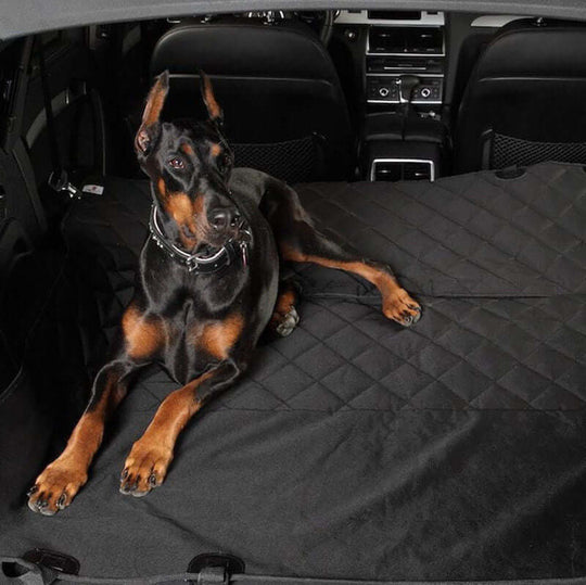 Premium waterproof car seat cover with a dog on it, protecting back seat from hair and dirt.