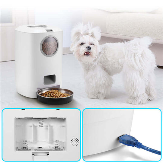 YES4PETS 4.5L automatic pet feeder with dog beside it, showcasing quality design for affordable pet care.