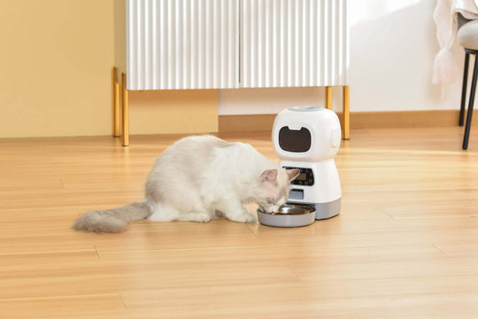 Cat eating from YES4PETS automatic digital pet feeder, designed for affordable and quality pet care.