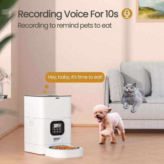 YES4PETS automatic digital pet feeder with voice recording feature reminding pets to eat.