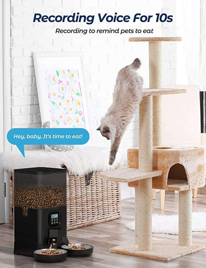 Cat jumping near a 6L automatic pet feeder with voice recording, reminding pets to eat on time.