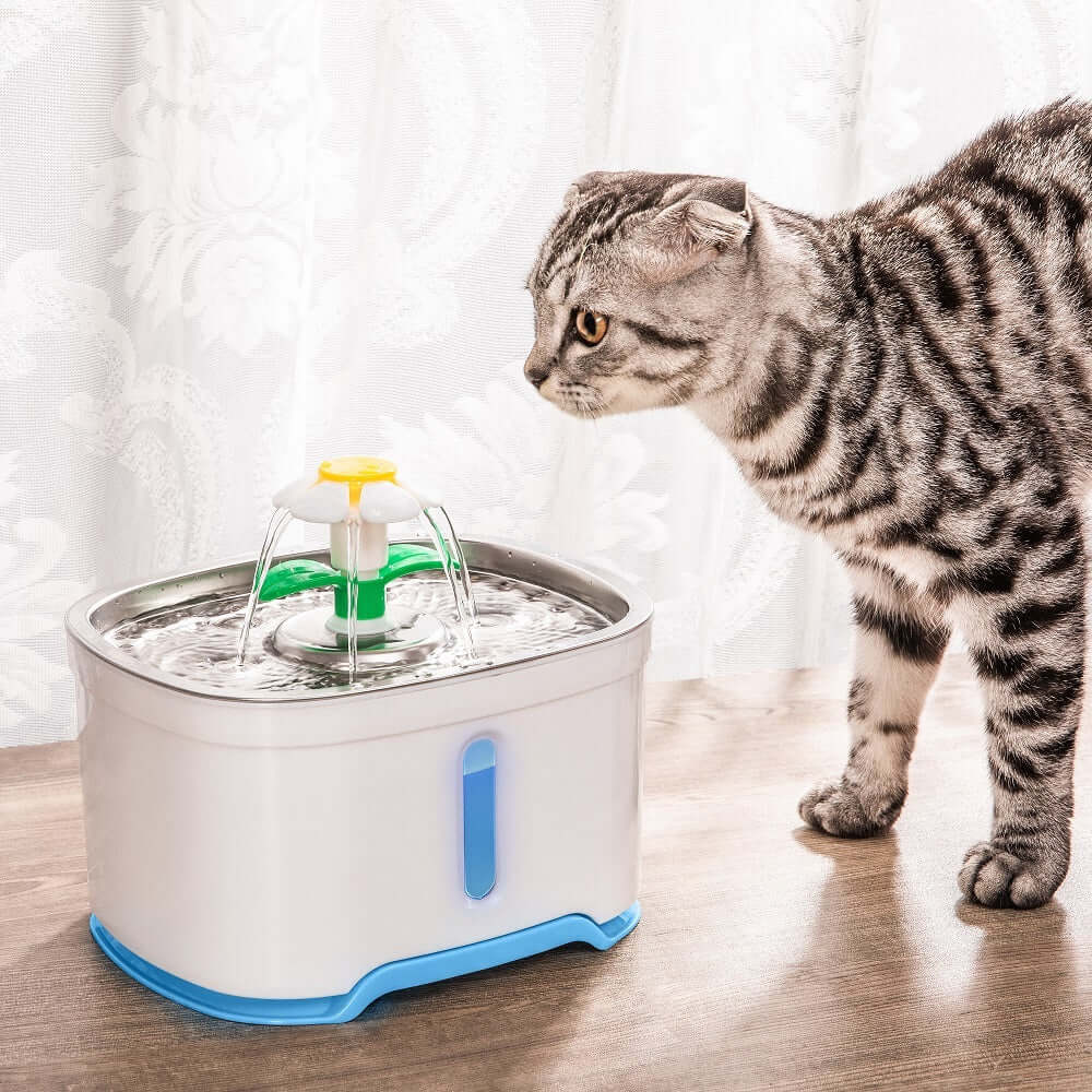 Cat curiously approaching a YES4PETS 2.5L automatic electric water fountain on a table.