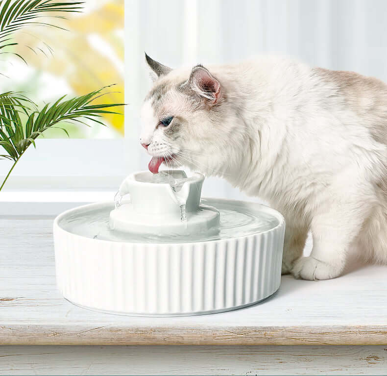 Cat drinking from YES4PETS Ceramic Electric Pet Water Fountain, an affordable and stylish pet water dispenser.