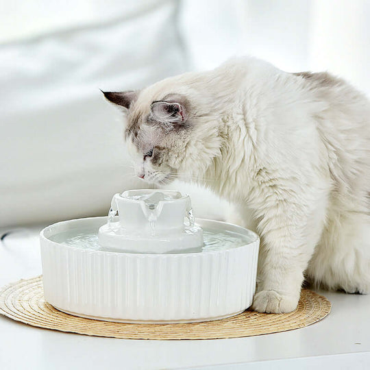 Fluffy white cat drinking from YES4PETS ceramic electric water fountain on a straw mat.