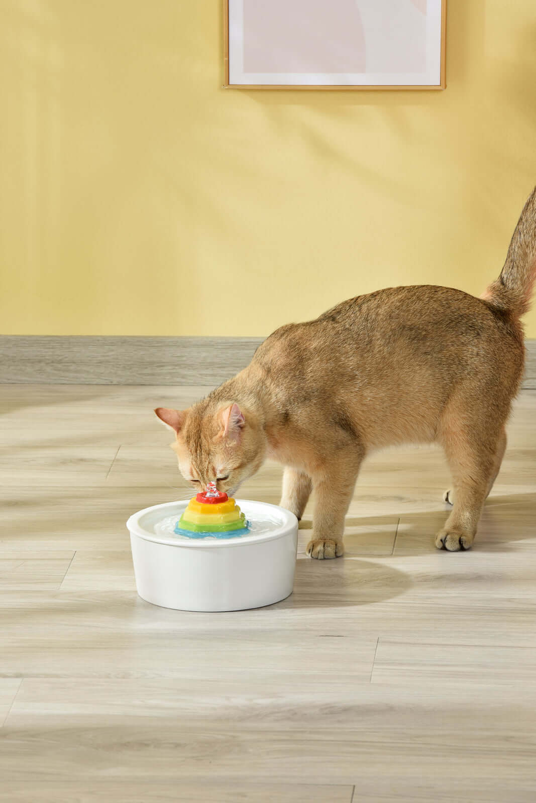 Cat drinking water from a YES4PETS ceramic electric pet water fountain, showcasing stylish design and quality.