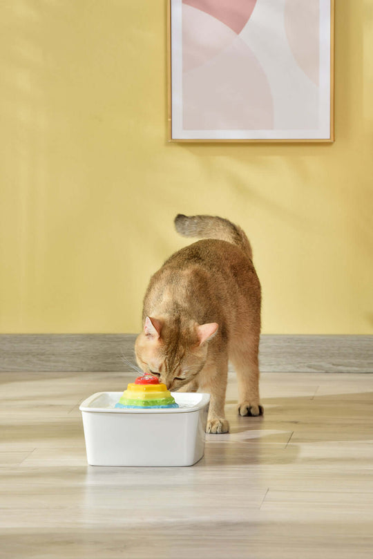 Cat drinking from a YES4PETS ceramic electric pet water fountain in a bright, stylish room.