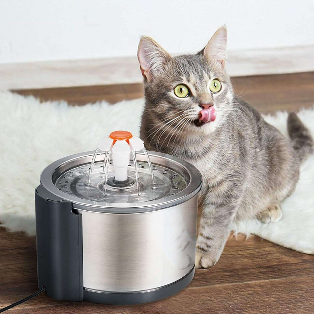 Cat next to YES4PETS stainless steel automatic water fountain, enjoying fresh water.