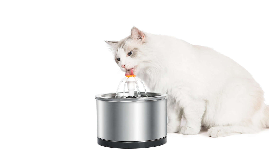 Cat drinking from YES4PETS stainless steel automatic electric water fountain, promoting hydration and style.