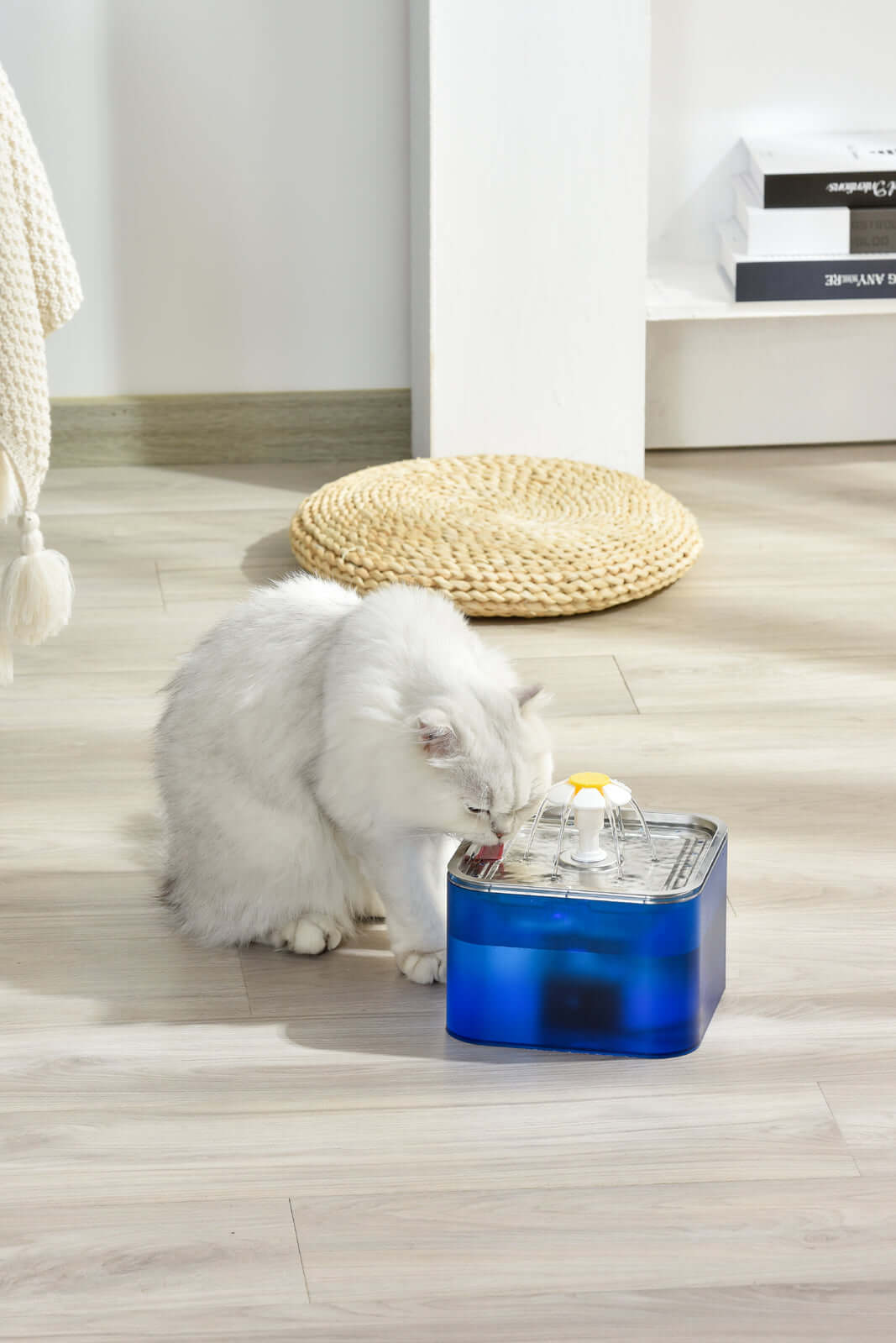 White cat drinking from YES4PETS 3L automatic stainless steel pet water fountain in blue.