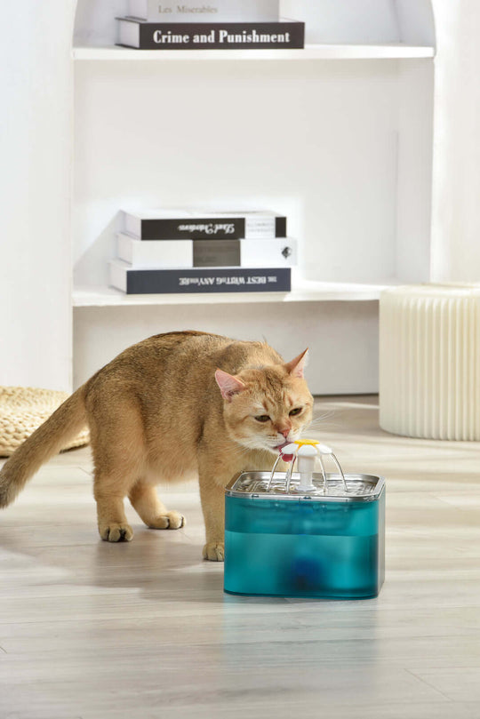 Cat drinking from YES4PETS 3L Automatic Electric Pet Water Fountain, stylish pet feeder in green.