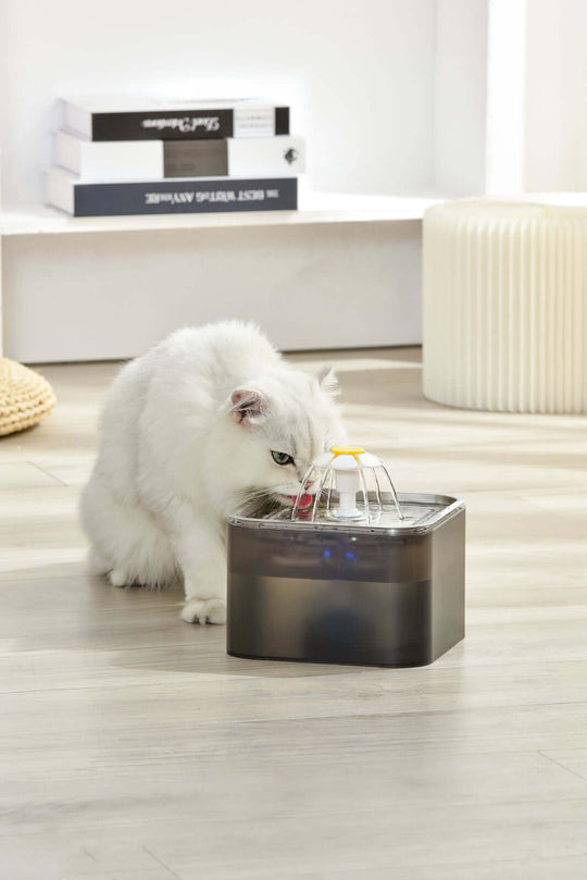 White cat drinking from a YES4PETS 3L Automatic Electric Pet Water Fountain on a stylish floor setting.