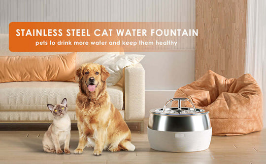 Stainless steel cat water fountain for dogs and cats to promote hydration and health; stylish pet accessory.