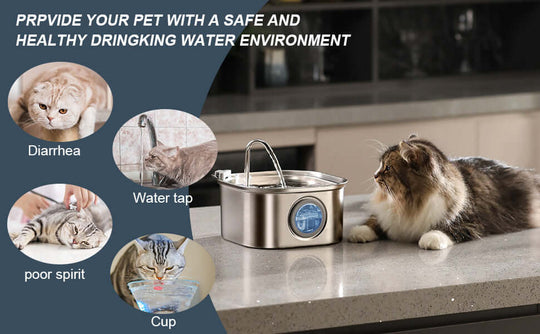 Cat near a stainless steel automatic pet water fountain promoting a healthy drinking environment for pets.