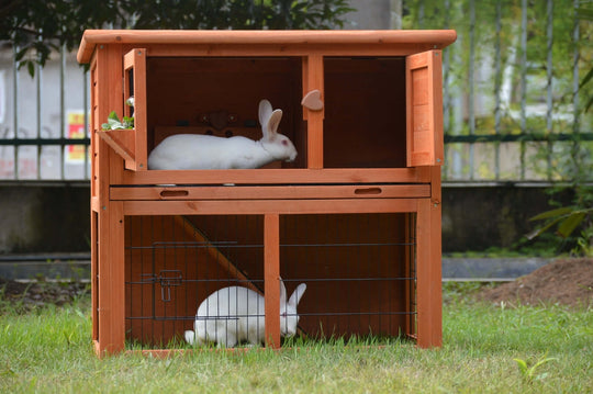 YES4PETS double storey rabbit hutch with two rabbits, showcasing a quality and affordable pet cage in a grassy outdoor setting.