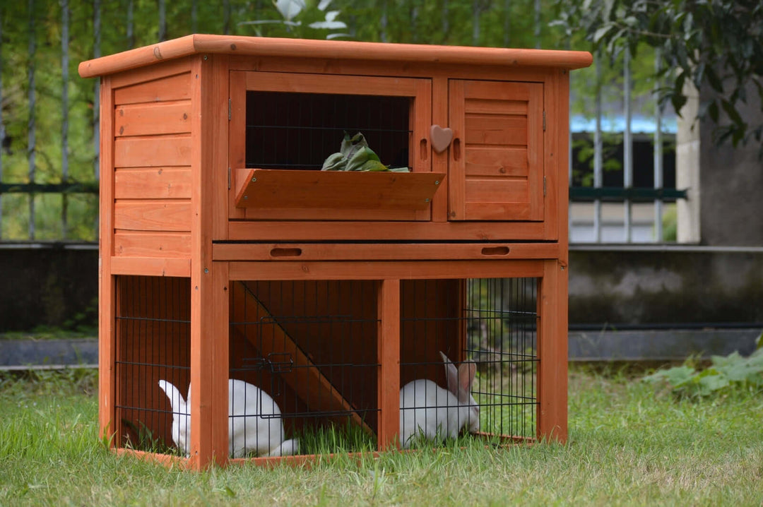 Affordable double storey rabbit hutch with pull-out tray, perfect for rabbits, guinea pigs, and ferrets.