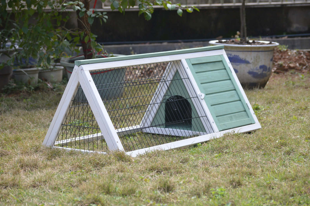 Affordable DIY rabbit hutch and guinea pig cage in green, perfect for small animals with easy access and cleaning.