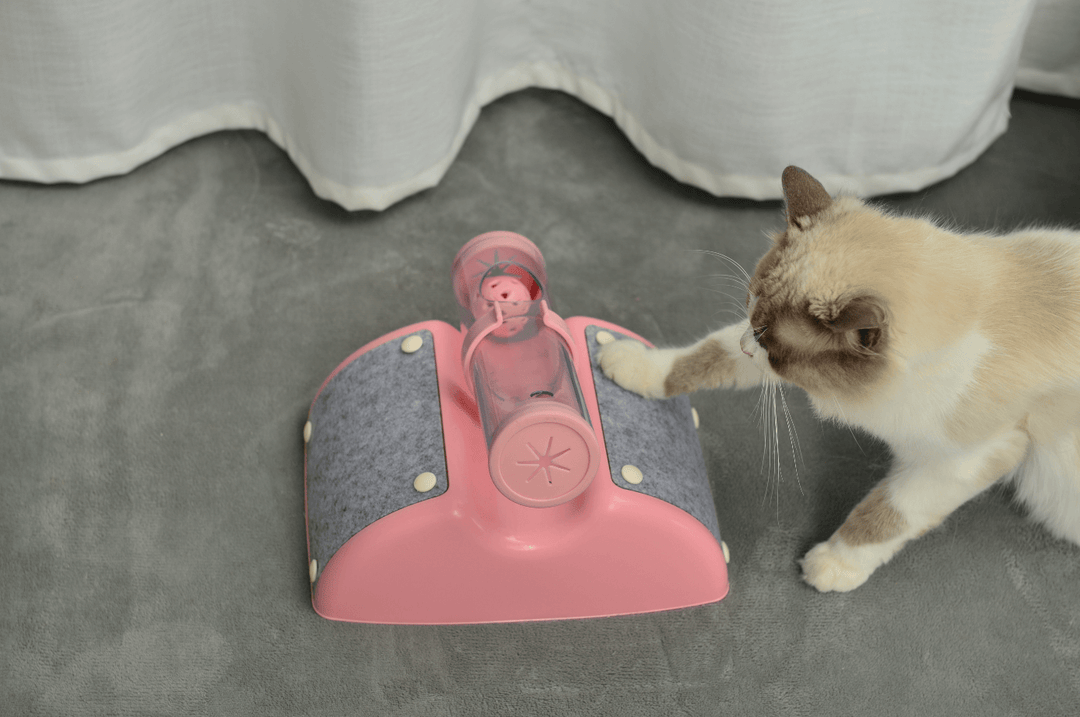 Cat exploring a pink interactive play box toy, promoting mental stimulation and fun with Affordable quality.