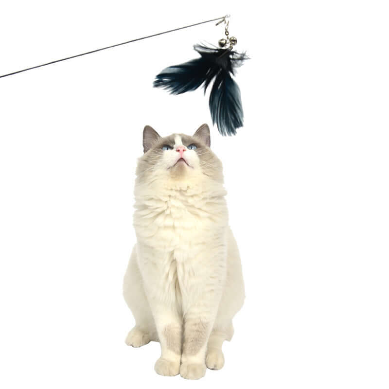 Interactive cat toy featuring retractable feathers, entertaining a playful cat with quality and affordable design.