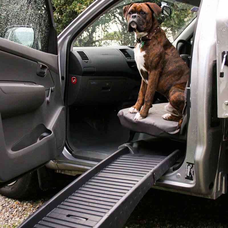 Dog using portable foldable ramp to enter vehicle, showcasing non-slip design and easy access for pets.