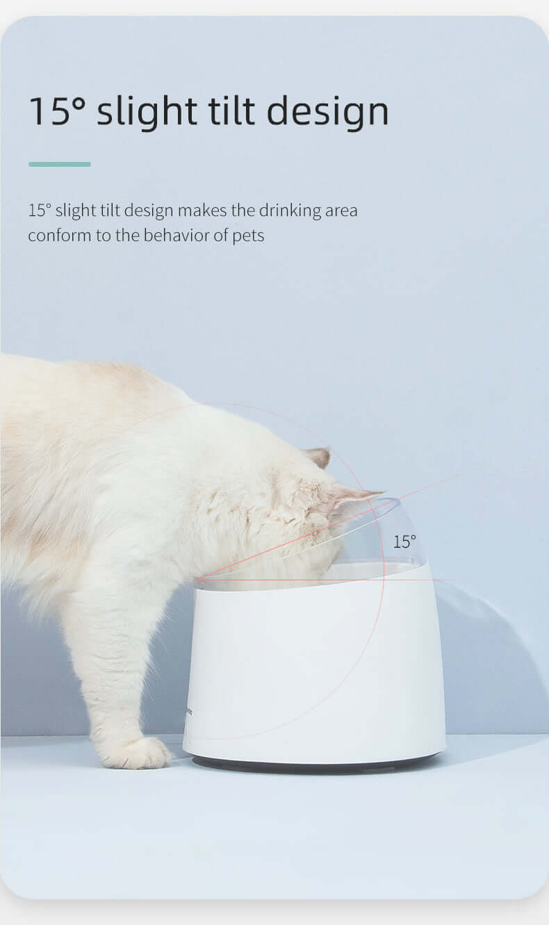 Cat using a 15° slight tilt design water fountain for comfortable drinking.