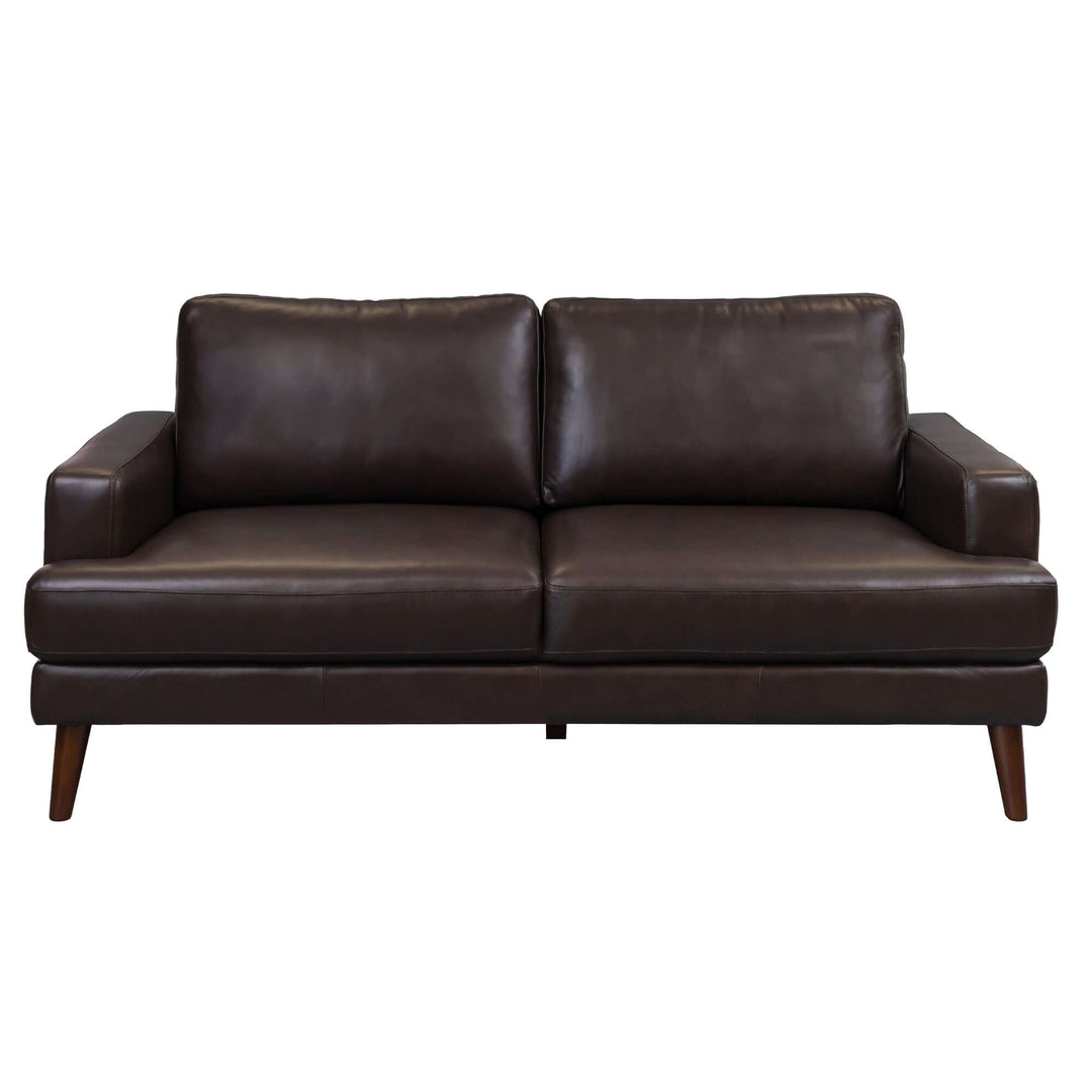 Chocolate leather 2-seater sofa with modern design and comfortable cushions, ideal for affordable and luxurious living spaces.