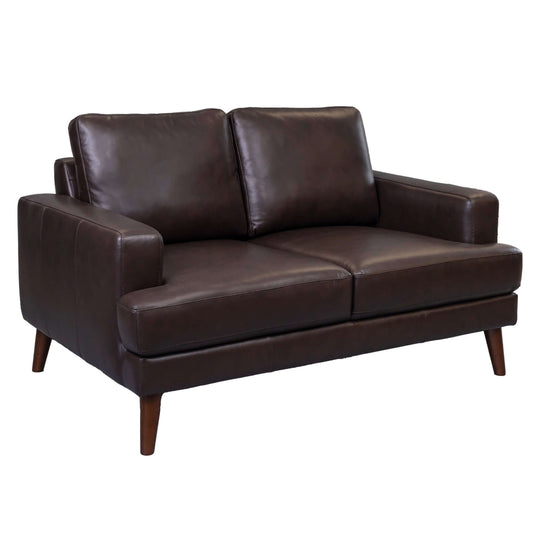 Affordable chocolate leather 2-seat sofa with modern design and comfortable cushions for stylish living rooms.