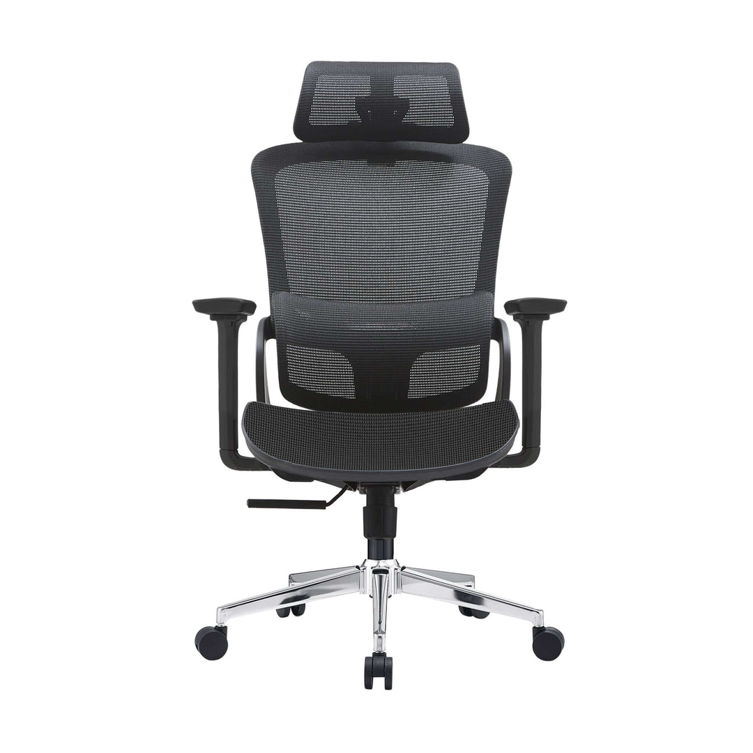 High back ergonomic office chair in black mesh with 3D adjustable headrest and armrests, stainless steel base. Affordable, quality design.