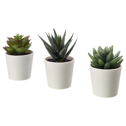 _label_, DSZ Product, feed-cond-new, feed-sl-free shipping, free-shipping, new3 Pack Of Artificial Succulent Potted Plants In White Plastic 6Cm Pot Interior Decoration - Premium Home & Garden > Artificial Plants > Artificial Potted Plants from My Decorations ! Shop Online Buy Now at S & D's Value Store Family Business Best Customer Service_label_, DSZ Product, feed-cond-new, feed-sl-free shipping, free-shipping, new