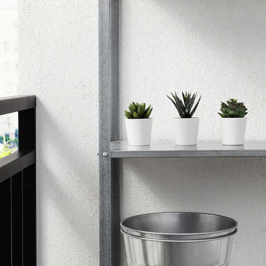 _label_, DSZ Product, feed-cond-new, feed-sl-free shipping, free-shipping, new3 Pack Of Artificial Succulent Potted Plants In White Plastic 6Cm Pot Interior Decoration - Premium Home & Garden > Artificial Plants > Artificial Potted Plants from My Decorations ! Shop Online Buy Now at S & D's Value Store Family Business Best Customer Service_label_, DSZ Product, feed-cond-new, feed-sl-free shipping, free-shipping, new