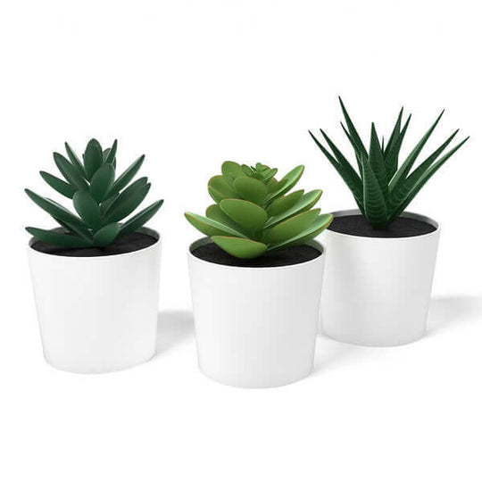 _label_, DSZ Product, feed-cond-new, feed-sl-free shipping, free-shipping, new3 Pack Of Artificial Succulent Potted Plants In White Plastic 6Cm Pot Interior Decoration - Premium Home & Garden > Artificial Plants > Artificial Potted Plants from My Decorations ! Shop Online Buy Now at S & D's Value Store Family Business Best Customer Service_label_, DSZ Product, feed-cond-new, feed-sl-free shipping, free-shipping, new