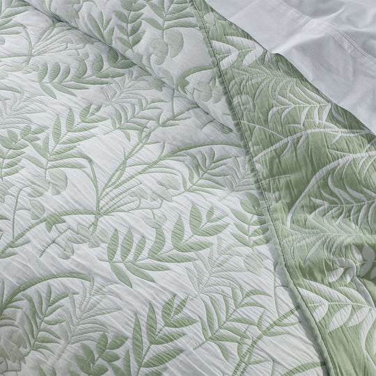 _label_, DSZ Product, feed-cond-new, feed-sl-free shipping, free-shipping, newBianca Eden Sage Jacquard Bedspread Set King - Premium Home & Garden > Bedding > Bed Valances from Bianca ! Shop Online Buy Now at S & D's Value Store Family Business Best Customer Service_label_, DSZ Product, feed-cond-new, feed-sl-free shipping, free-shipping, new