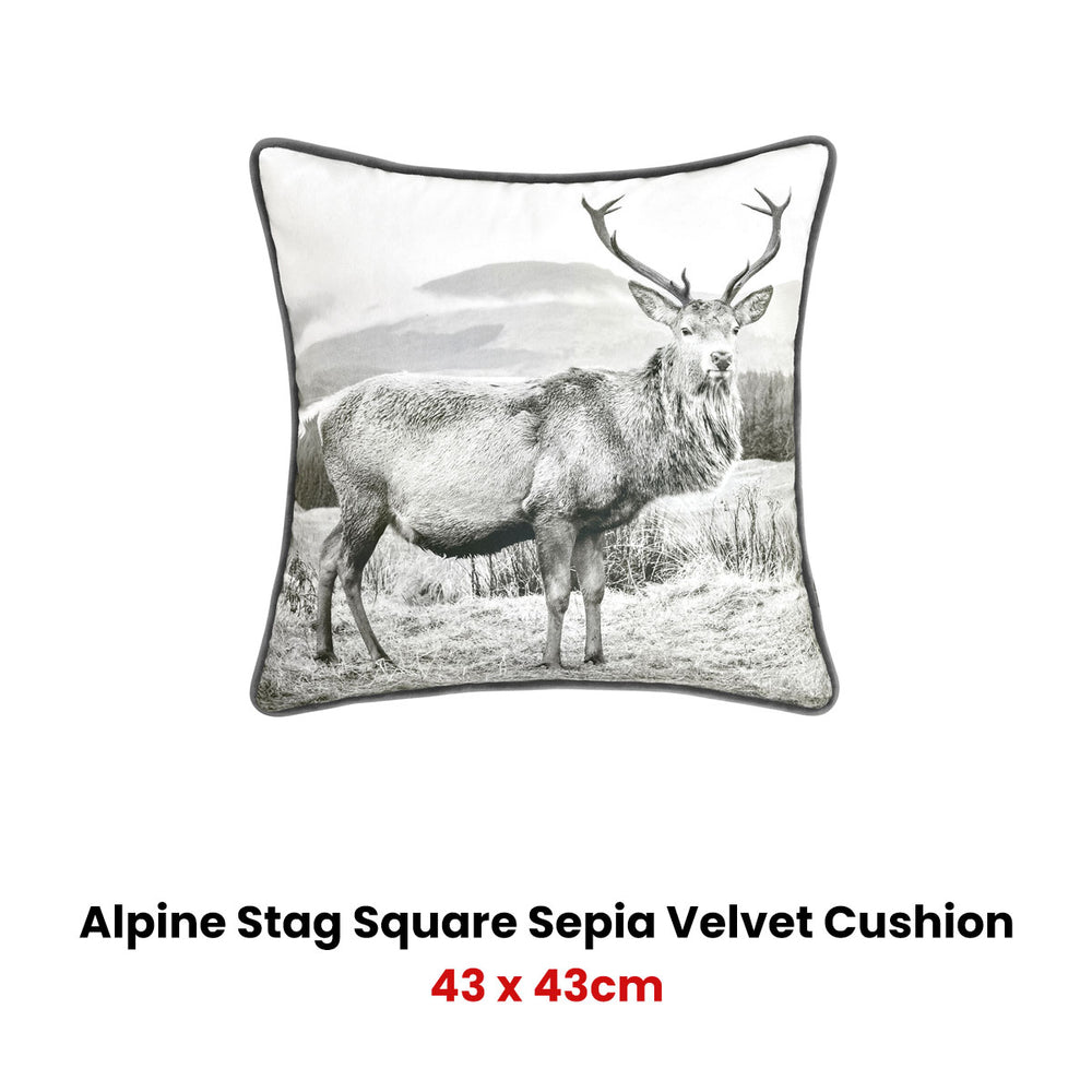 _label_, DSZ Product, feed-cond-new, feed-sl-free shipping, free-shipping, newBianca Alpine Stag Taupe Jacquard Square Velvet Filled Cushion - Premium Furniture > Bar Stools & Chairs > Arm Chairs & Recliners from Bianca ! Shop Online Buy Now at S & D's Value Store Family Business Best Customer Service_label_, DSZ Product, feed-cond-new, feed-sl-free shipping, free-shipping, new