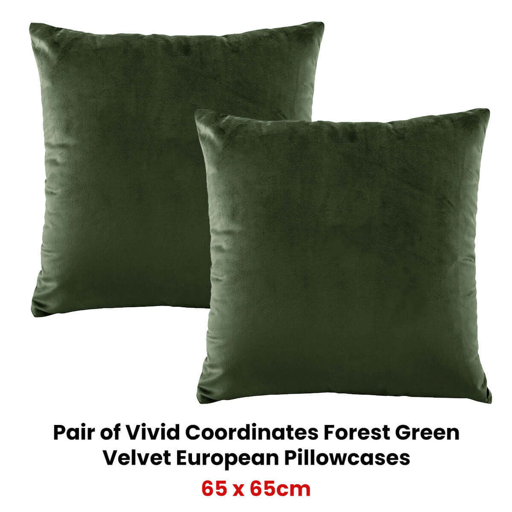 _label_, DSZ Product, feed-cond-new, feed-sl-free shipping, free-shippingBianca Pair Of Vivid Coordinates Forest Green Velvet European Pillowcases - Premium Home & Garden > Bedding > Pillows from Bianca ! Shop Online Buy Now at S & D's Value Store Family Business Best Customer Service_label_, DSZ Product, feed-cond-new, feed-sl-free shipping, free-shipping