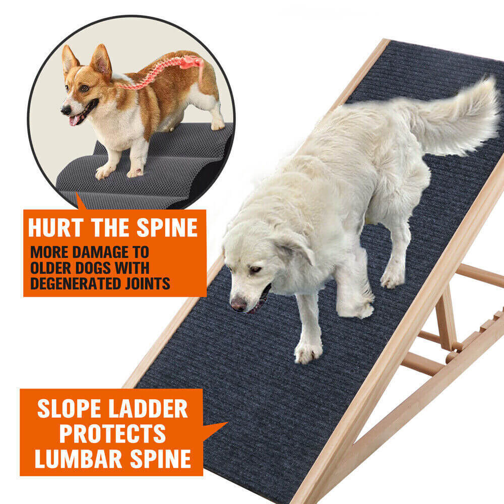 DSZ Product, feed-cond-new, feed-sl-DSZ Freight Payable, newVaka 70Cm Foldable Dog Pet Ramp Adjustable Height Dogs Stairs For Bed Sofa 82006 - Premium Pet Care > Dog Supplies > Dog Steps & Ramps from Sedy ! Shop Online Buy Now at S & D's Value Store Family Business Best Customer ServiceDSZ Product, feed-cond-new, feed-sl-DSZ Freight Payable, new