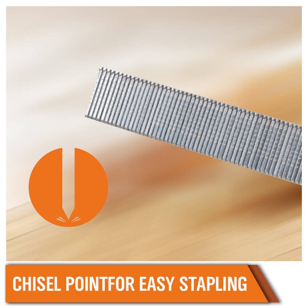 Chisel point brad nails for easy stapling, ideal for affordable DIY projects in carpentry and flooring.