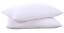 DSZ Product, feed-cond-new, feed-sl-DSZ Freight PayablePuredown Goose Down And Feather Pillow Inserts For Sleeping, 100% Cotton Fabric Cover Bed Pillows, Set Of 2, White, King Size - Premium Home & Garden > Bedding > Pillows from Puredown ! Shop Online Buy Now at S & D's Value Store Family Business Best Customer ServiceDSZ Product, feed-cond-new, feed-sl-DSZ Freight Payable