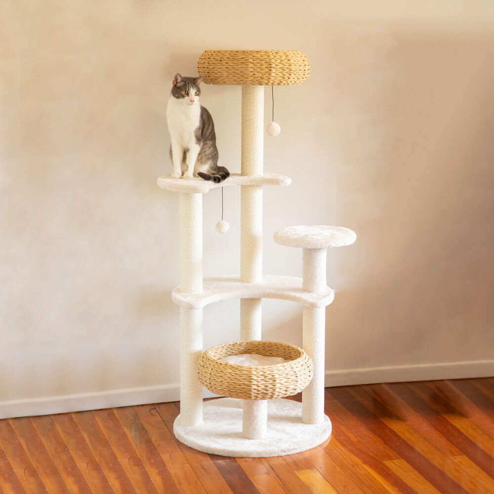 DSZ Product, feed-cond-new, feed-sl-DSZ Freight Payable, new5 - Platform Plush And Wicker Cat Tree - Premium Pet Care > Cat Supplies > Cat Scratching Posts from Modern Pets ! Shop Online Buy Now at S & D's Value Store Family Business Best Customer ServiceDSZ Product, feed-cond-new, feed-sl-DSZ Freight Payable, new