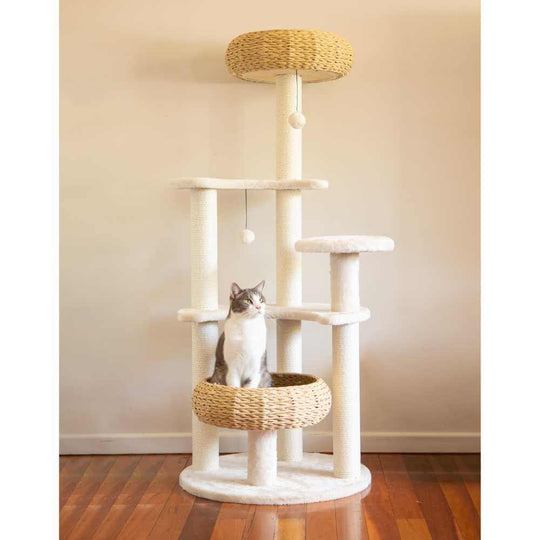 DSZ Product, feed-cond-new, feed-sl-DSZ Freight Payable, new5 - Platform Plush And Wicker Cat Tree - Premium Pet Care > Cat Supplies > Cat Scratching Posts from Modern Pets ! Shop Online Buy Now at S & D's Value Store Family Business Best Customer ServiceDSZ Product, feed-cond-new, feed-sl-DSZ Freight Payable, new