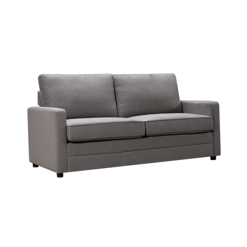 DSZ Product, feed-cond-new, feed-sl-DSZ Freight Payable, newRay 2 Seater Sofa Bed With Separate Foam Mattress -  Dark Grey - Premium Furniture > Sofas > Sofas & Sofa Beds from Topleo Furniture ! Shop Online Buy Now at S & D's Value Store Family Business Best Customer ServiceDSZ Product, feed-cond-new, feed-sl-DSZ Freight Payable, new