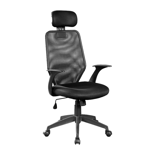 DSZ Product, feed-cond-new, feed-sl-DSZ Freight Payable, newErgonomic Mesh Office Chair - Premium Furniture > Office > Office & Desk Chairs from Palermo ! Shop Online Buy Now at S & D's Value Store Family Business Best Customer ServiceDSZ Product, feed-cond-new, feed-sl-DSZ Freight Payable, new