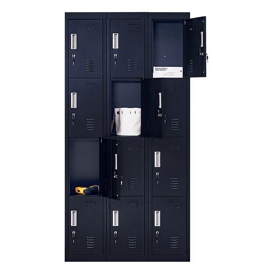 Affordable 12-door locker for secure storage in offices, gyms, or schools, featuring quality design and DIY installation.