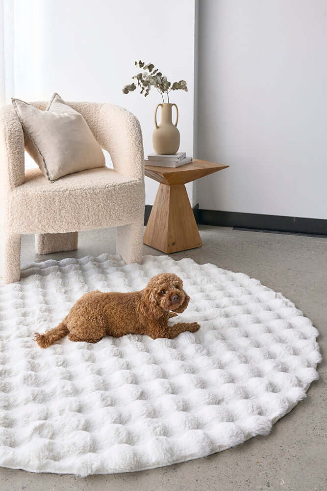 DSZ Product, feed-cond-new, feed-sl-DSZ Freight Payable, newBubble Washable Rug - White 200 X 200Cm - Premium Home & Garden > Rugs > Round Rugs from Rug Culture ! Shop Online Buy Now at S & D's Value Store Family Business Best Customer ServiceDSZ Product, feed-cond-new, feed-sl-DSZ Freight Payable, new