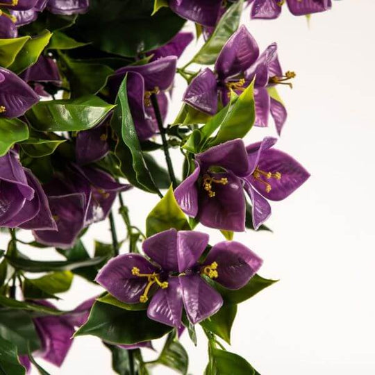 DSZ Product, feed-cond-new, feed-sl-DSZ Freight Payable, newHanging Artificial Bougainvillea Plant Purple Uv Resistant 90Cm - Premium Home & Garden > Artificial Plants > Artificial Hanging Plants from Designer Plants ! Shop Online Buy Now at S & D's Value Store Family Business Best Customer ServiceDSZ Product, feed-cond-new, feed-sl-DSZ Freight Payable, new