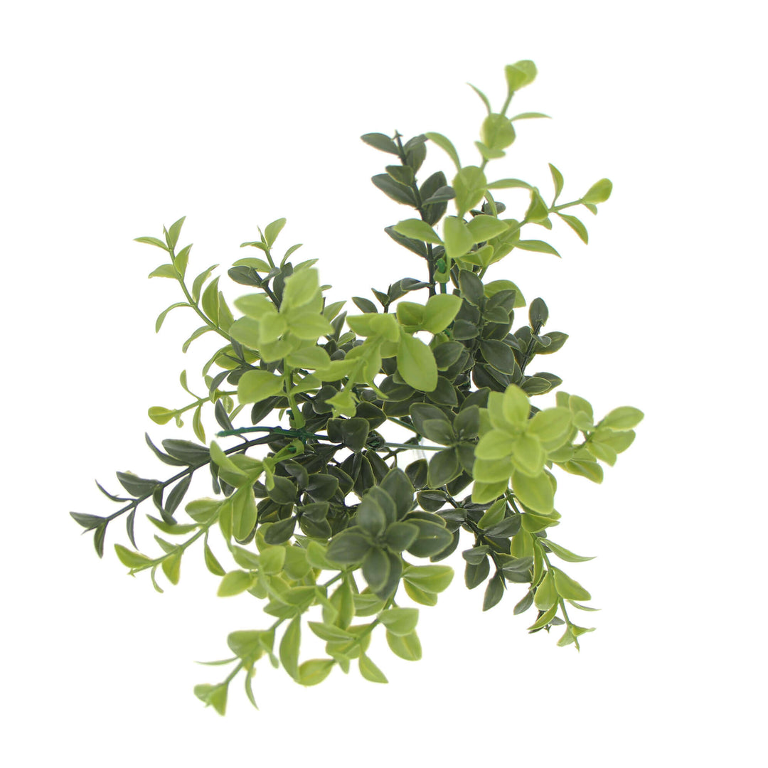 DSZ Product, feed-cond-new, feed-sl-DSZ Freight Payable, newArtificial Rounded Boxwood Stem Uv 30Cm - Premium Home & Garden > Artificial Plants > Artifical Flowers & Plants from DSZ ! Shop Online Buy Now at S & D's Value Store Family Business Best Customer ServiceDSZ Product, feed-cond-new, feed-sl-DSZ Freight Payable, new