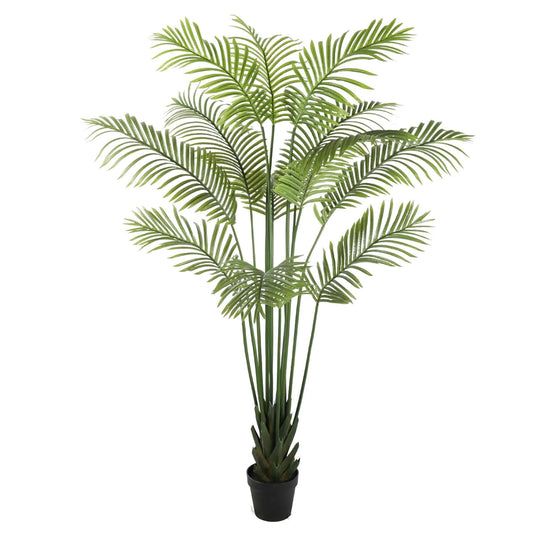 DSZ Product, feed-cond-new, feed-sl-DSZ Freight Payable, newArtificial Multi Stem Hawaii Palm 190Cm - Premium Home & Garden > Artificial Plants > Artifical Flowers & Plants from DSZ ! Shop Online Buy Now at S & D's Value Store Family Business Best Customer ServiceDSZ Product, feed-cond-new, feed-sl-DSZ Freight Payable, new