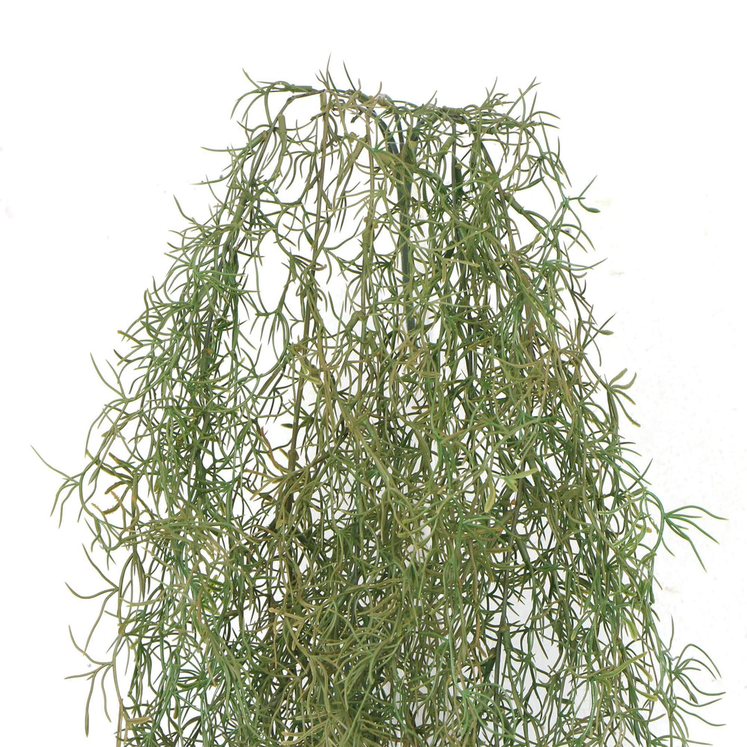 DSZ Product, feed-cond-new, feed-sl-DSZ Freight Payable, newArtificial Air Plant Spanish Moss Uv Resistant 100Cm - Premium Home & Garden > Artificial Plants > Artifical Flowers & Plants from Designer Plants ! Shop Online Buy Now at S & D's Value Store Family Business Best Customer ServiceDSZ Product, feed-cond-new, feed-sl-DSZ Freight Payable, new