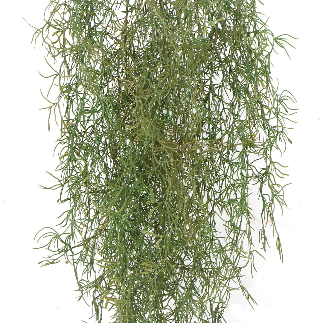 DSZ Product, feed-cond-new, feed-sl-DSZ Freight Payable, newArtificial Air Plant Spanish Moss Uv Resistant 100Cm - Premium Home & Garden > Artificial Plants > Artifical Flowers & Plants from Designer Plants ! Shop Online Buy Now at S & D's Value Store Family Business Best Customer ServiceDSZ Product, feed-cond-new, feed-sl-DSZ Freight Payable, new