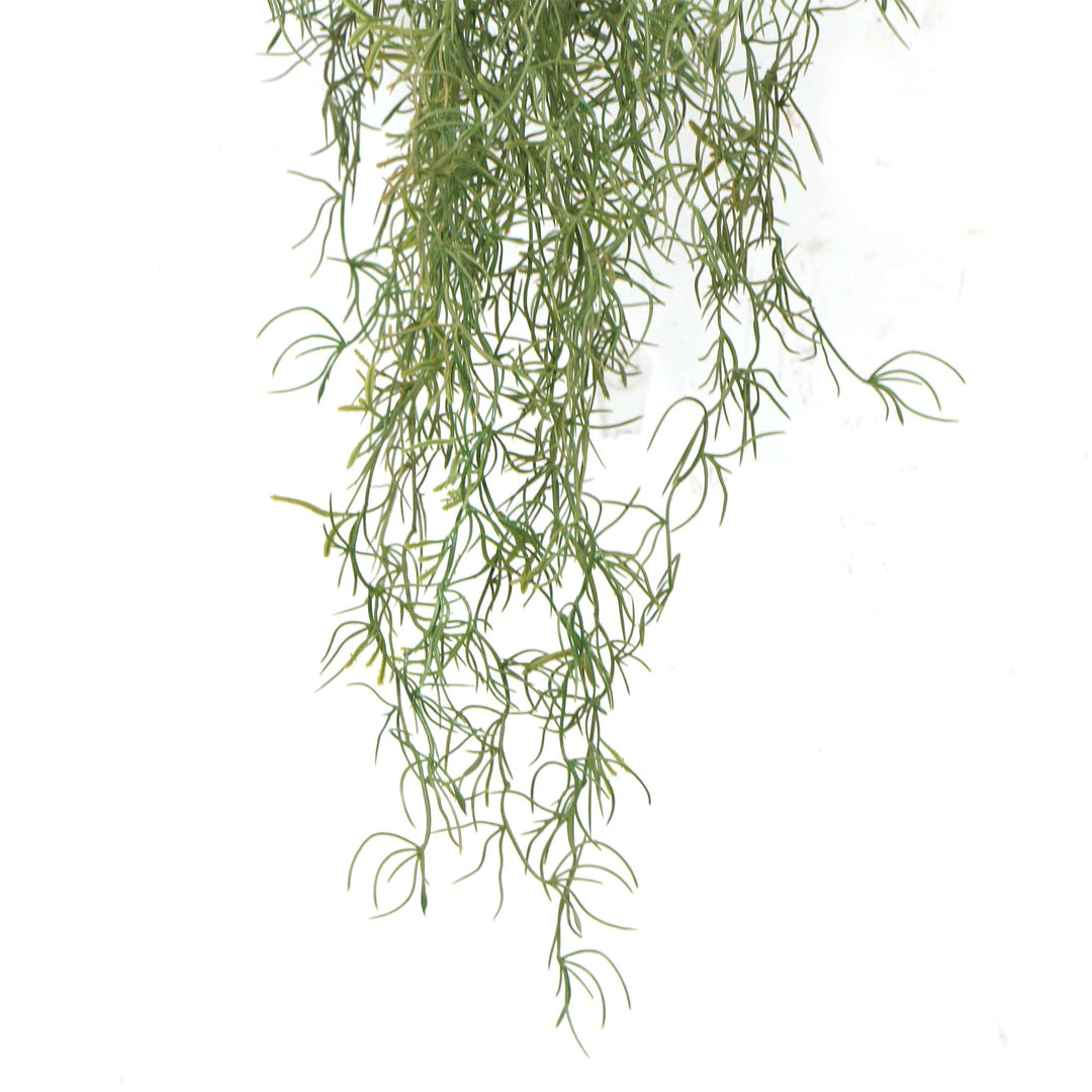 DSZ Product, feed-cond-new, feed-sl-DSZ Freight Payable, newArtificial Air Plant Spanish Moss Uv Resistant 100Cm - Premium Home & Garden > Artificial Plants > Artifical Flowers & Plants from Designer Plants ! Shop Online Buy Now at S & D's Value Store Family Business Best Customer ServiceDSZ Product, feed-cond-new, feed-sl-DSZ Freight Payable, new